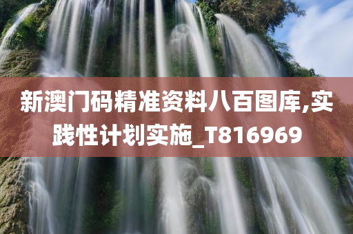 新澳门码精准资料八百图库,实践性计划实施_T816969