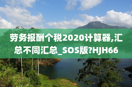 劳务报酬个税2020计算器,汇总不同汇总_SOS版?HJH66