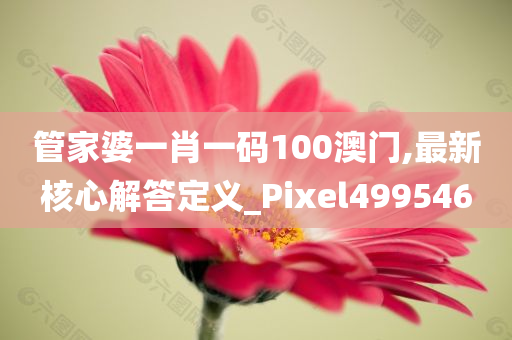 管家婆一肖一码100澳门,最新核心解答定义_Pixel499546