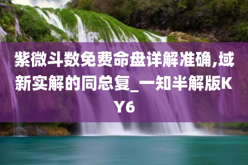 紫微斗数免费命盘详解准确,域新实解的同总复_一知半解版KY6