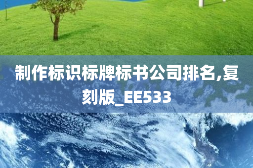 制作标识标牌标书公司排名,复刻版_EE533