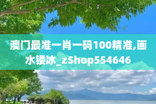 澳门最准一肖一码100精准,画水镂冰_zShop554646