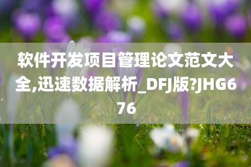 软件开发项目管理论文范文大全,迅速数据解析_DFJ版?JHG676