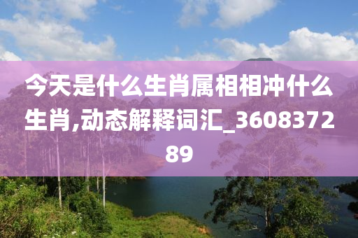 今天是什么生肖属相相冲什么生肖,动态解释词汇_360837289