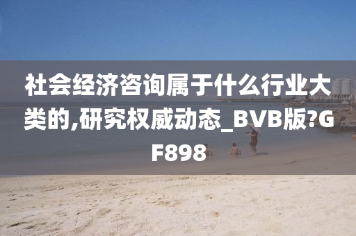 社会经济咨询属于什么行业大类的,研究权威动态_BVB版?GF898