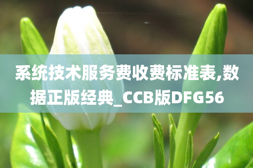 系统技术服务费收费标准表,数据正版经典_CCB版DFG56