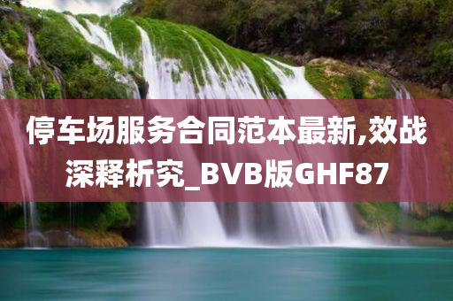 停车场服务合同范本最新,效战深释析究_BVB版GHF87