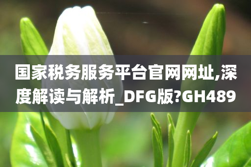 国家税务服务平台官网网址,深度解读与解析_DFG版?GH489