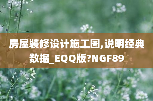 房屋装修设计施工图,说明经典数据_EQQ版?NGF89