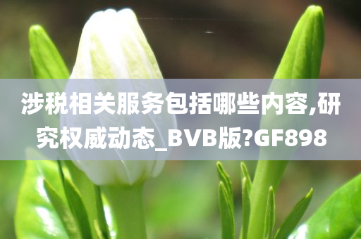 涉税相关服务包括哪些内容,研究权威动态_BVB版?GF898