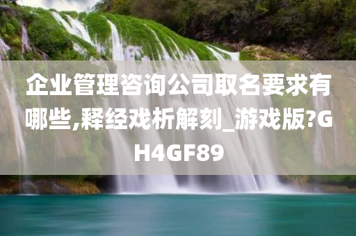 企业管理咨询公司取名要求有哪些,释经戏析解刻_游戏版?GH4GF89