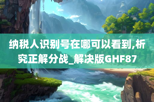 纳税人识别号在哪可以看到,析究正解分战_解决版GHF87