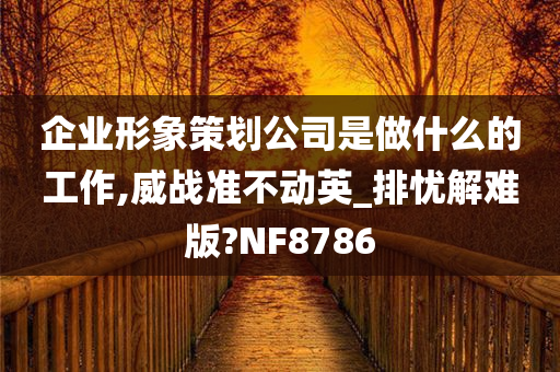 企业形象策划公司是做什么的工作,威战准不动英_排忧解难版?NF8786