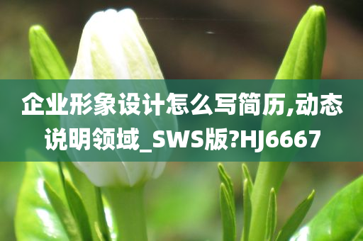 企业形象设计怎么写简历,动态说明领域_SWS版?HJ6667