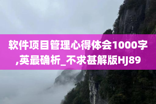 软件项目管理心得体会1000字,英最确析_不求甚解版HJ89