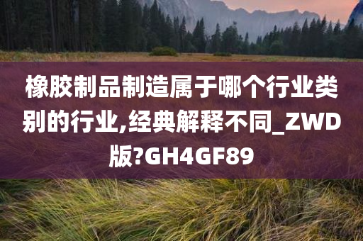 橡胶制品制造属于哪个行业类别的行业,经典解释不同_ZWD版?GH4GF89