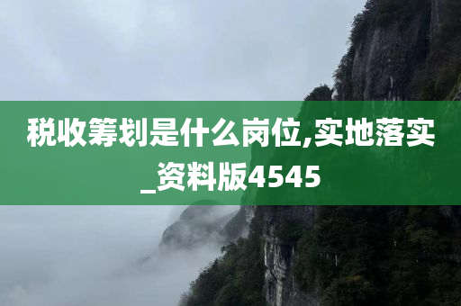 税收筹划是什么岗位,实地落实_资料版4545