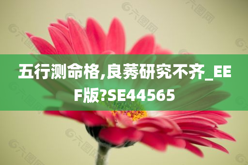 五行测命格,良莠研究不齐_EEF版?SE44565