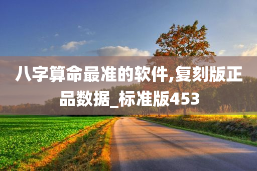 八字算命最准的软件,复刻版正品数据_标准版453