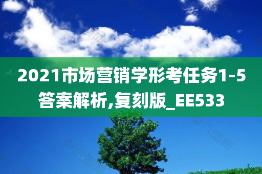 2021市场营销学形考任务1-5答案解析,复刻版_EE533