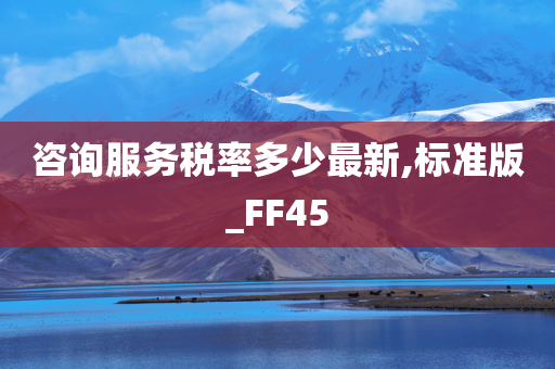 咨询服务税率多少最新,标准版_FF45