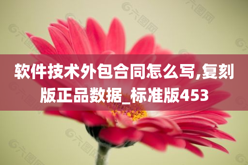 软件技术外包合同怎么写,复刻版正品数据_标准版453