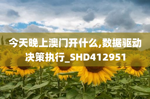 今天晚上澳门开什么,数据驱动决策执行_SHD412951