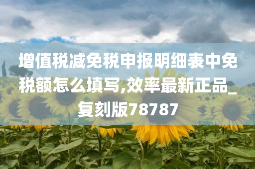 增值税减免税申报明细表中免税额怎么填写,效率最新正品_复刻版78787