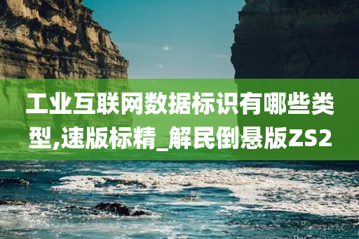 工业互联网数据标识有哪些类型,速版标精_解民倒悬版ZS2