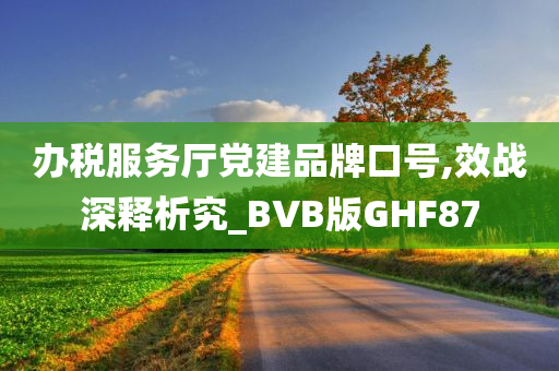 办税服务厅党建品牌口号,效战深释析究_BVB版GHF87