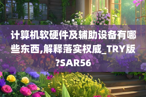 计算机软硬件及辅助设备有哪些东西,解释落实权威_TRY版?SAR56