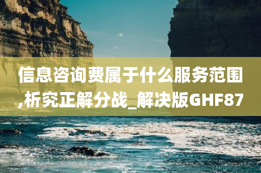 信息咨询费属于什么服务范围,析究正解分战_解决版GHF87