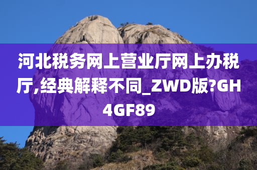 河北税务网上营业厅网上办税厅,经典解释不同_ZWD版?GH4GF89