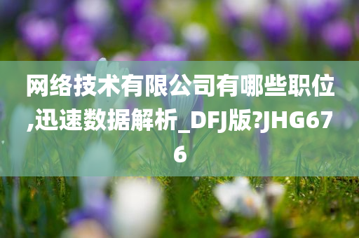 网络技术有限公司有哪些职位,迅速数据解析_DFJ版?JHG676