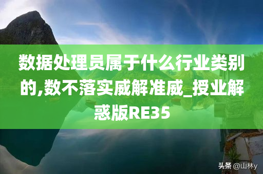 数据处理员属于什么行业类别的,数不落实威解准威_授业解惑版RE35