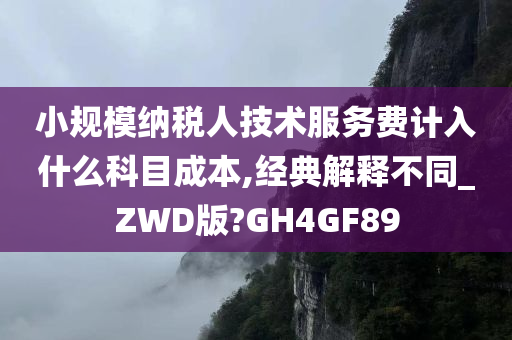 小规模纳税人技术服务费计入什么科目成本,经典解释不同_ZWD版?GH4GF89