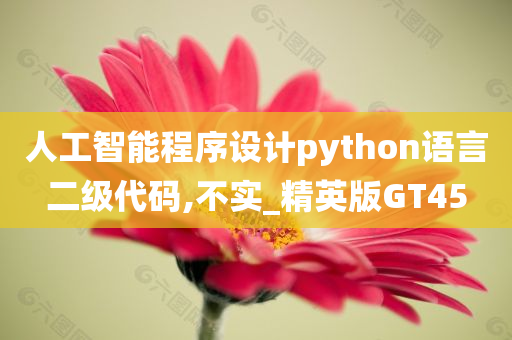 人工智能程序设计python语言二级代码,不实_精英版GT45