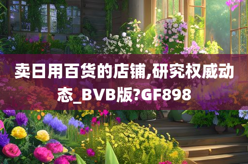 卖日用百货的店铺,研究权威动态_BVB版?GF898