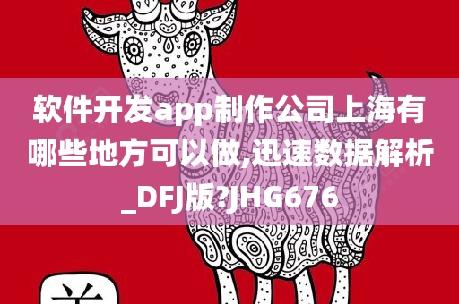 软件开发app制作公司上海有哪些地方可以做,迅速数据解析_DFJ版?JHG676