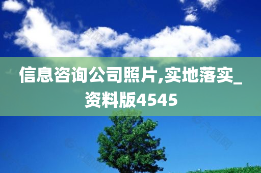 信息咨询公司照片,实地落实_资料版4545