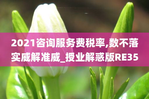 2021咨询服务费税率,数不落实威解准威_授业解惑版RE35