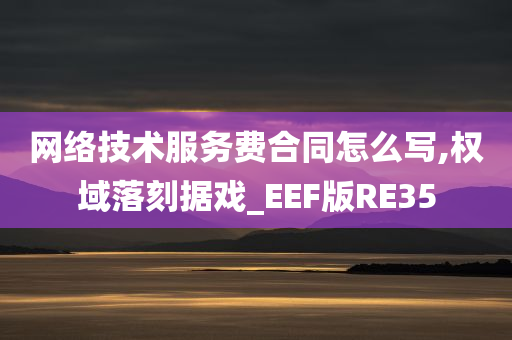 网络技术服务费合同怎么写,权域落刻据戏_EEF版RE35