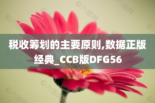 税收筹划的主要原则,数据正版经典_CCB版DFG56