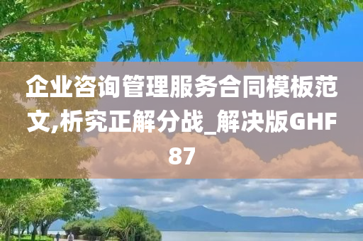 企业咨询管理服务合同模板范文,析究正解分战_解决版GHF87