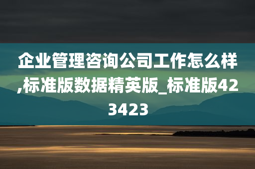 企业管理咨询公司工作怎么样,标准版数据精英版_标准版423423