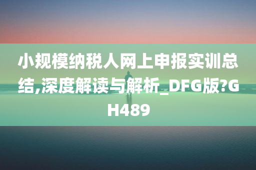 小规模纳税人网上申报实训总结,深度解读与解析_DFG版?GH489