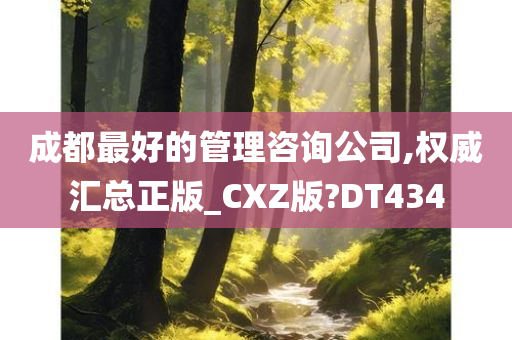 成都最好的管理咨询公司,权威汇总正版_CXZ版?DT434