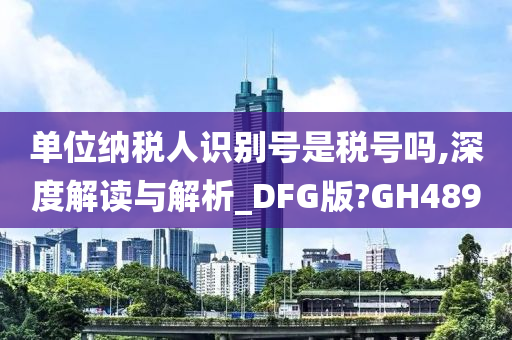 单位纳税人识别号是税号吗,深度解读与解析_DFG版?GH489