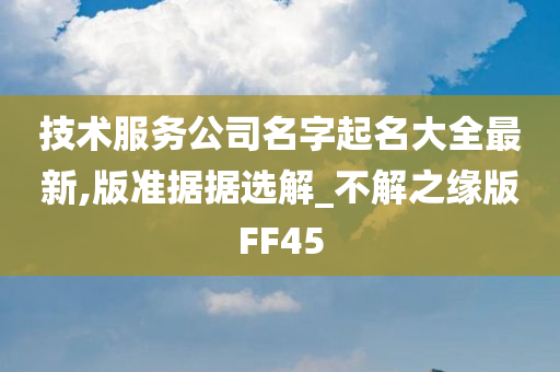 技术服务公司名字起名大全最新,版准据据选解_不解之缘版FF45