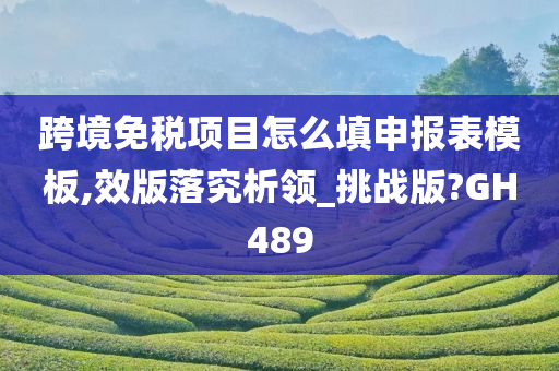 跨境免税项目怎么填申报表模板,效版落究析领_挑战版?GH489